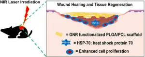 Research: Gold Nanorod Based Wound Healing