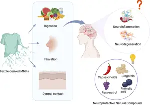 Critical Review: Microplastics to Brain
